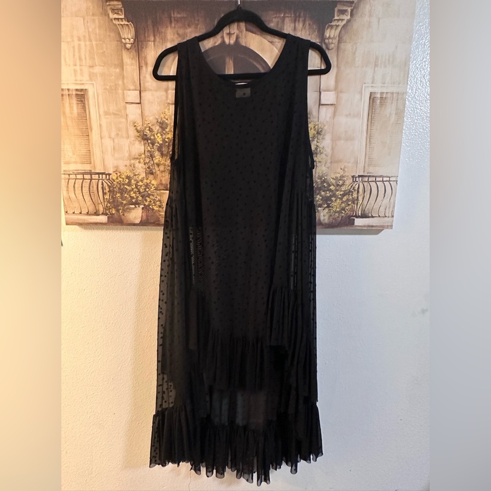 ⚫️Zadie Bs Elegant dot mesh Dress⚫️ - Picture 3 of 6
